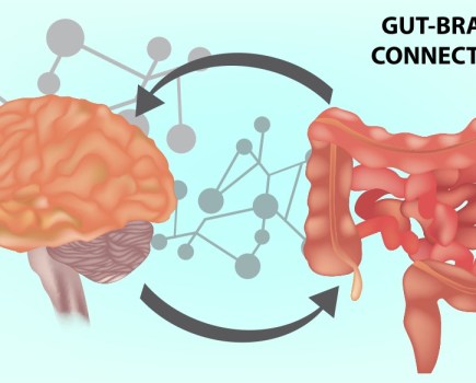 gut health and mental health Men's Fitness UK