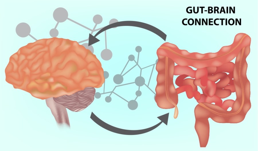 gut health and mental health Men's Fitness UK