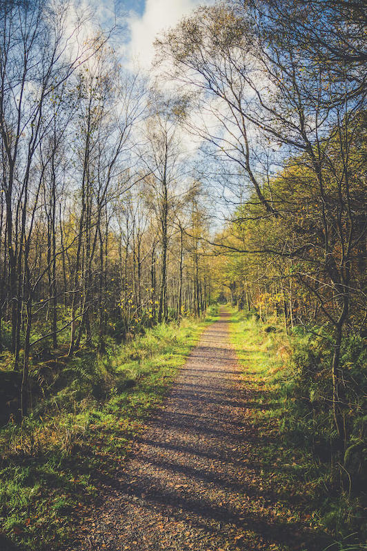10 Ways To Protect Your Mental Health In Winter | Men's Fitness UK