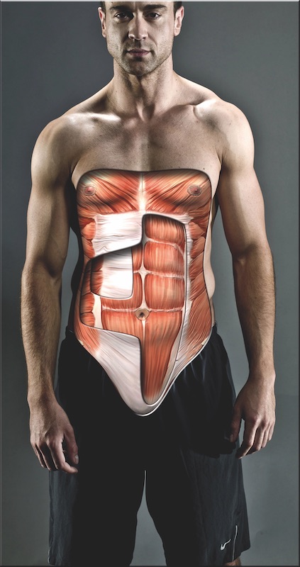 Six-Pack Science: The Anatomy Of Your Abs | Men's Fitness UK