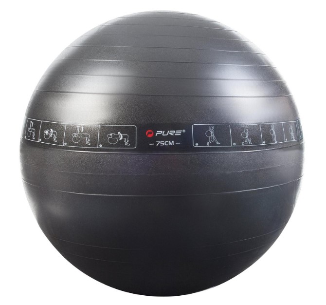 Pure2Improve exercise gym ball