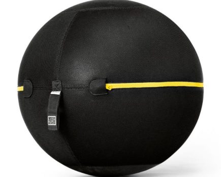 The Technogym Wellness Ball Active Sitting