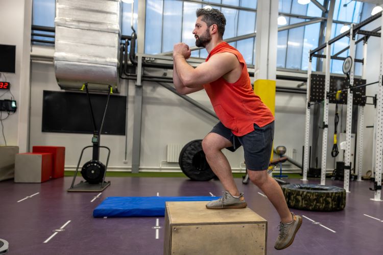 Man in a gym performing a box step-up