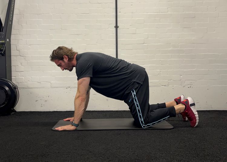 Man performing cat cow - best back stretches