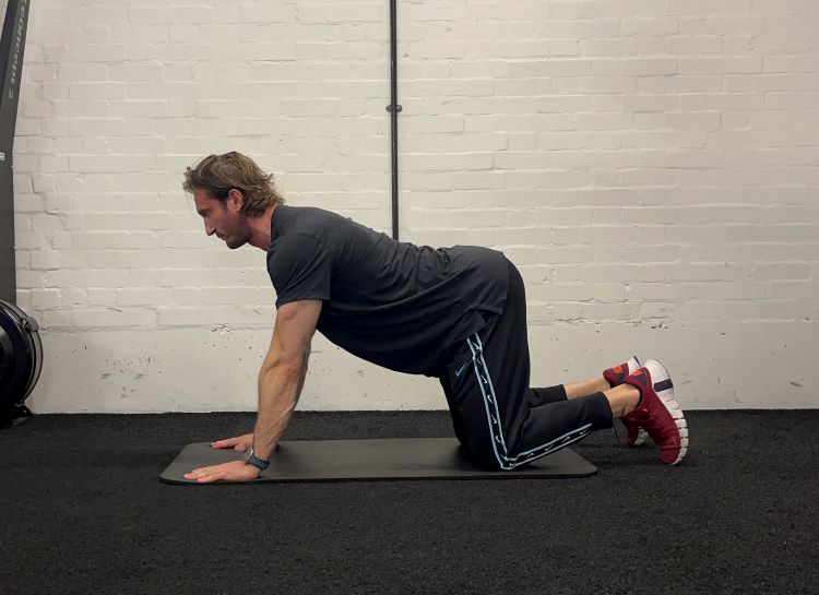 Man performing cat cow - best back stretches