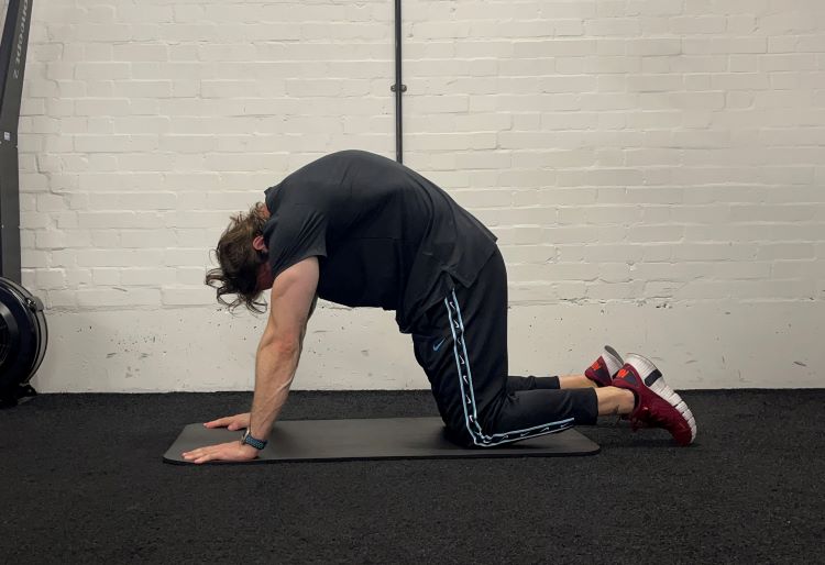 Man performing cat cow - best back stretches