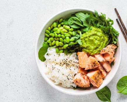 Overhead view of bowl of salmon and rice