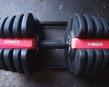 overhead shot of a DMoose adjustable dumbbell