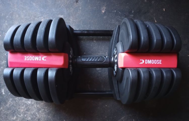 overhead shot of a DMoose adjustable dumbbell