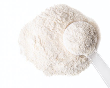 Casein protein powder