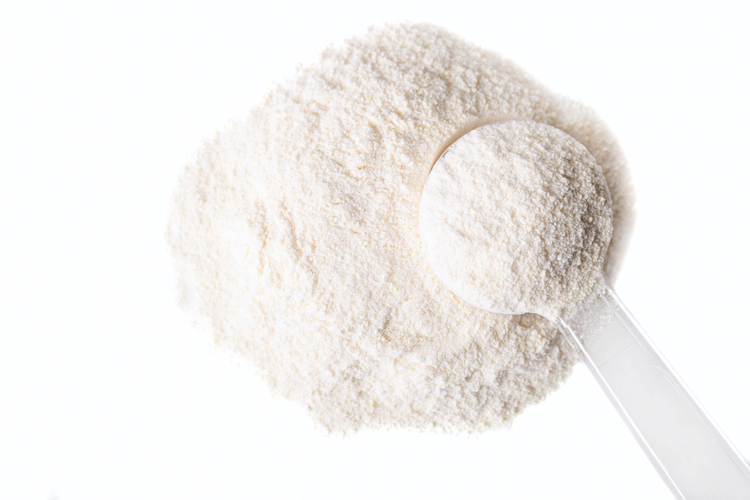Casein protein powder
