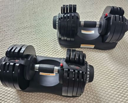 Pair of adjustable dumbbells