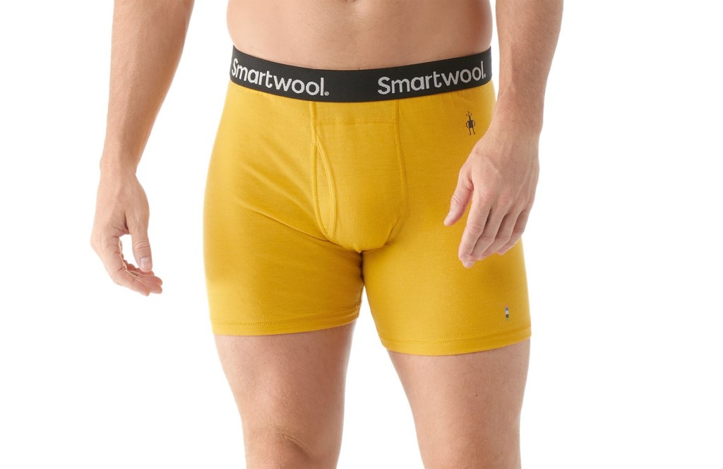 Smartwool Merino Boxer Brief