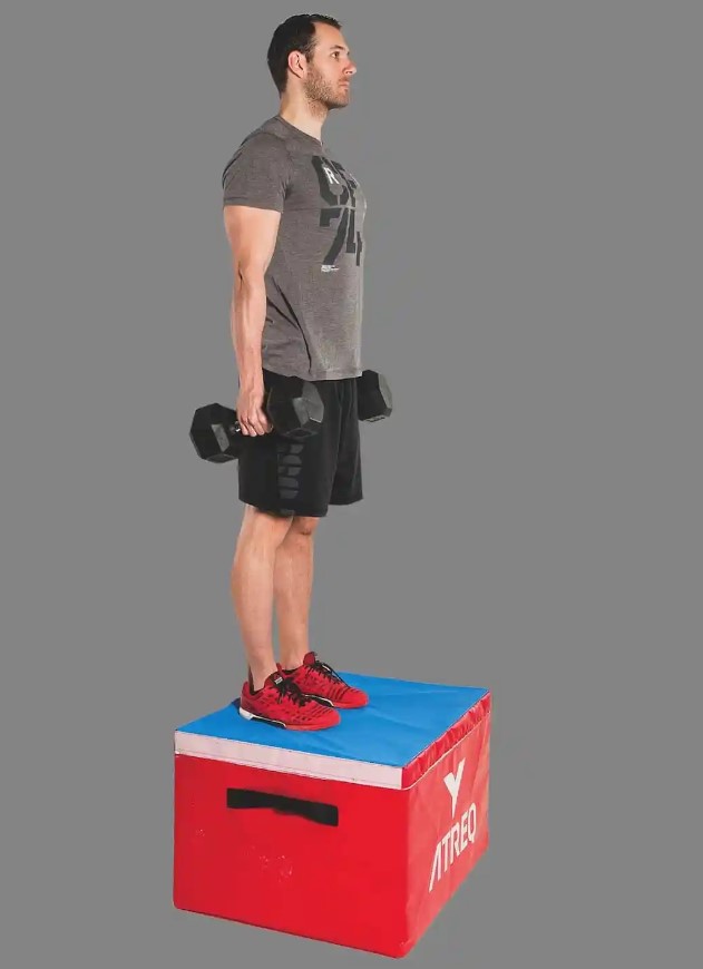 Man performing an alternating step-up with dumbbells