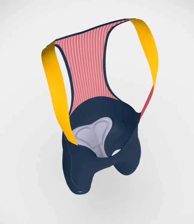 Screenshot of pair of customisable bibshorts